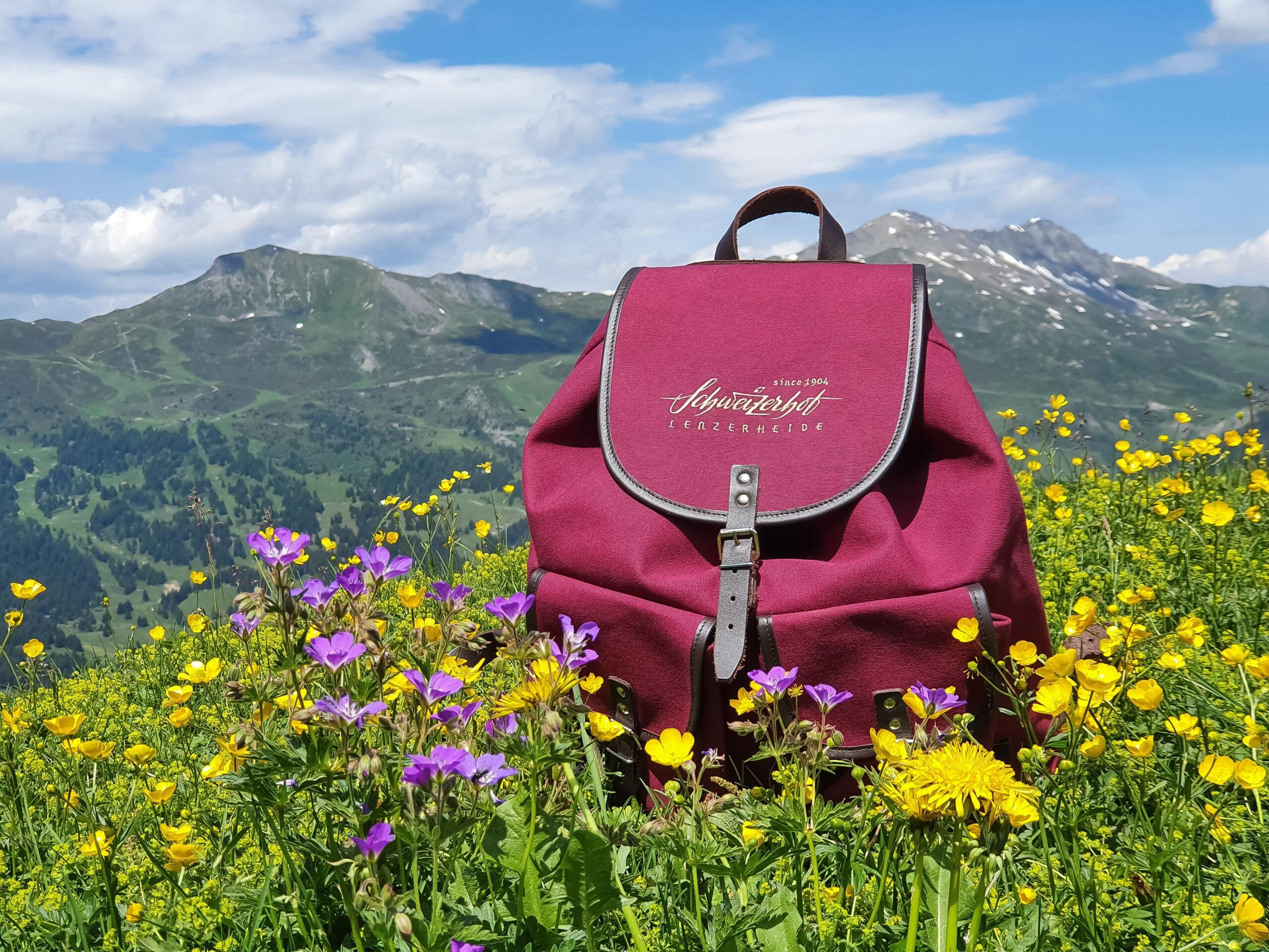 Roter Rucksack inmitten bunter Alpenblumen vor weitläufiger Berglandschaft.