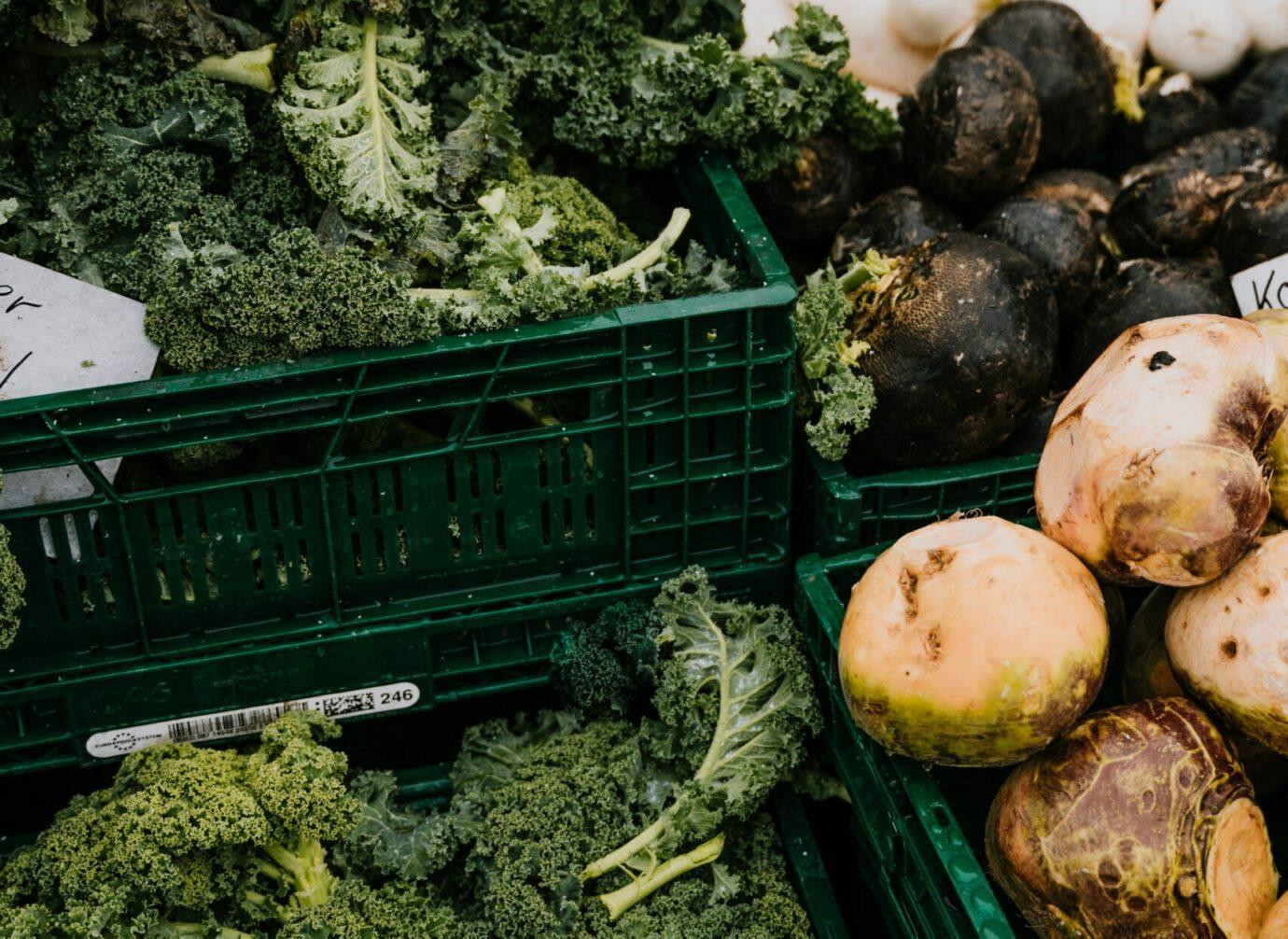 Frisches Gemüse in grünen Kisten, darunter Federkohl und verschiedene Wurzelgemüse.
