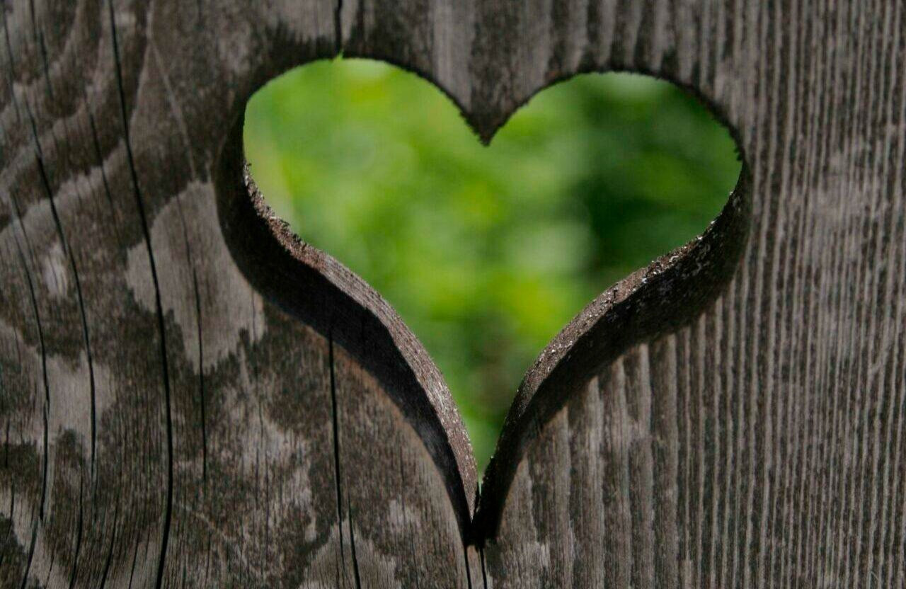 Herzförmige Aussparung in einer verwitterten Holzplatte, durch die ein unscharfer grüner Hintergrund aus Pflanzen und Blättern sichtbar wird.