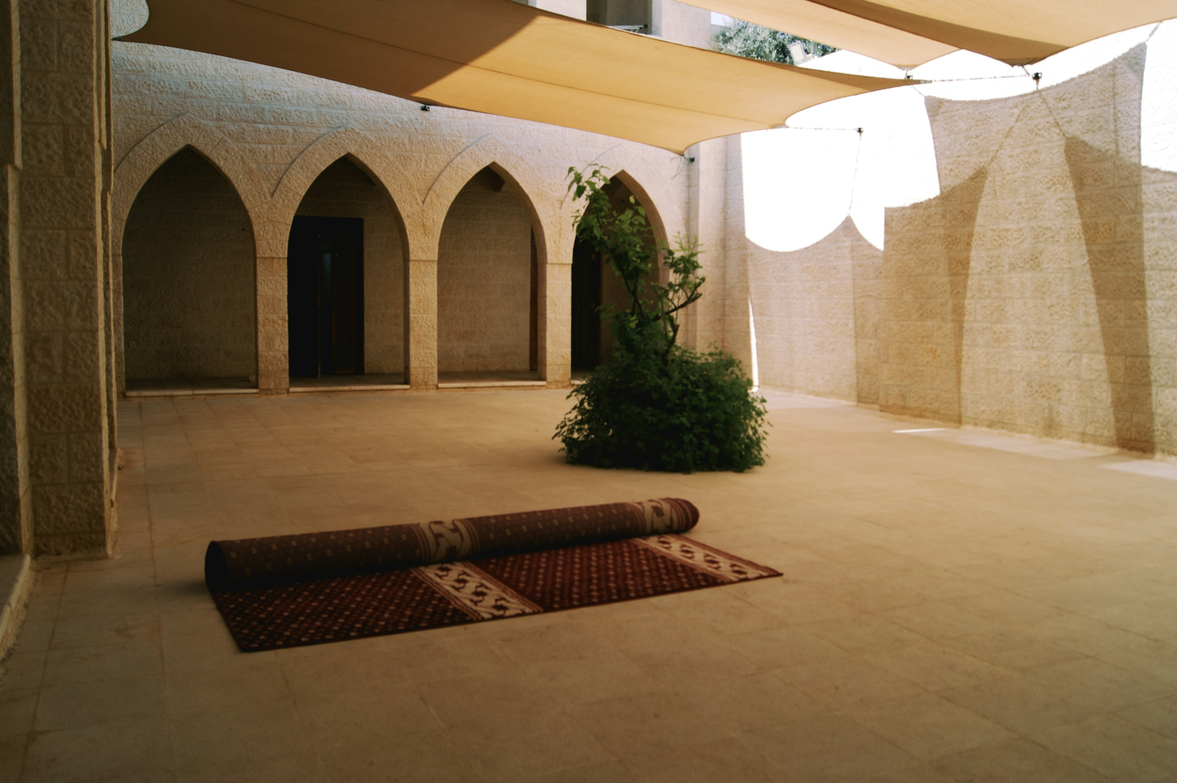 Ein Orientalischer Aussenbereich mit einen Teppich und Busch in der Mitte