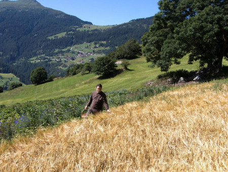 Koch steht in Getreidefeld mit Bergkulisse – Ursprung der regionalen Zutaten im Scalottas Terroir Lenzerheide