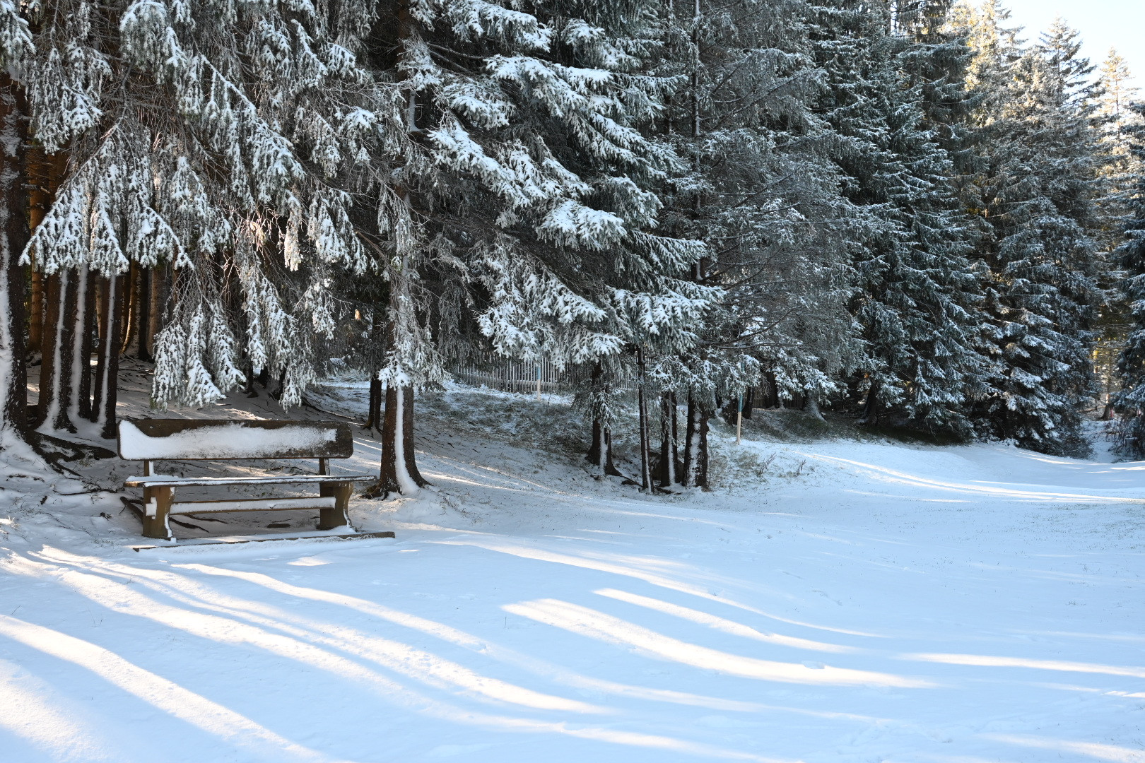 Verschneite Bank vor dem Wald