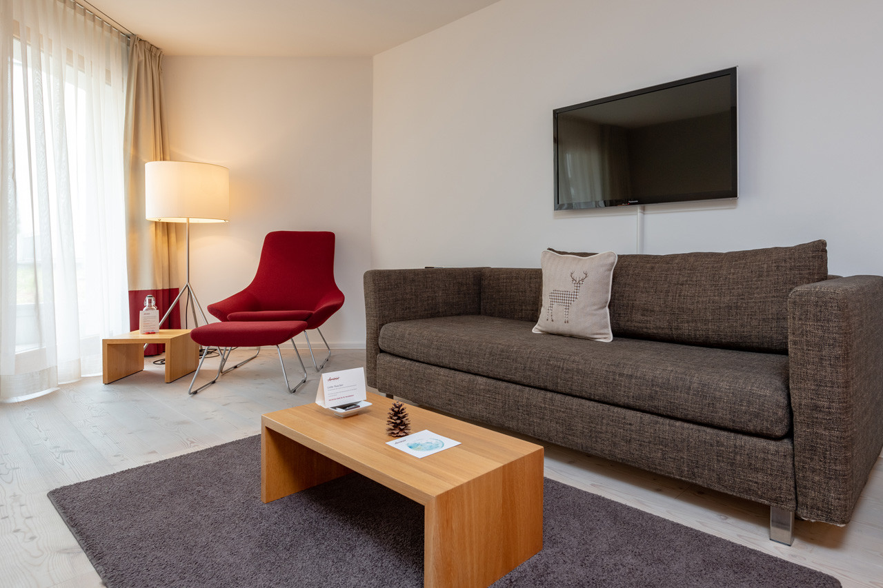 Helles Alpenchic Zimmer mit rotem Lounge-Sessel, braunem Sofa und modernem Wohnbereich.