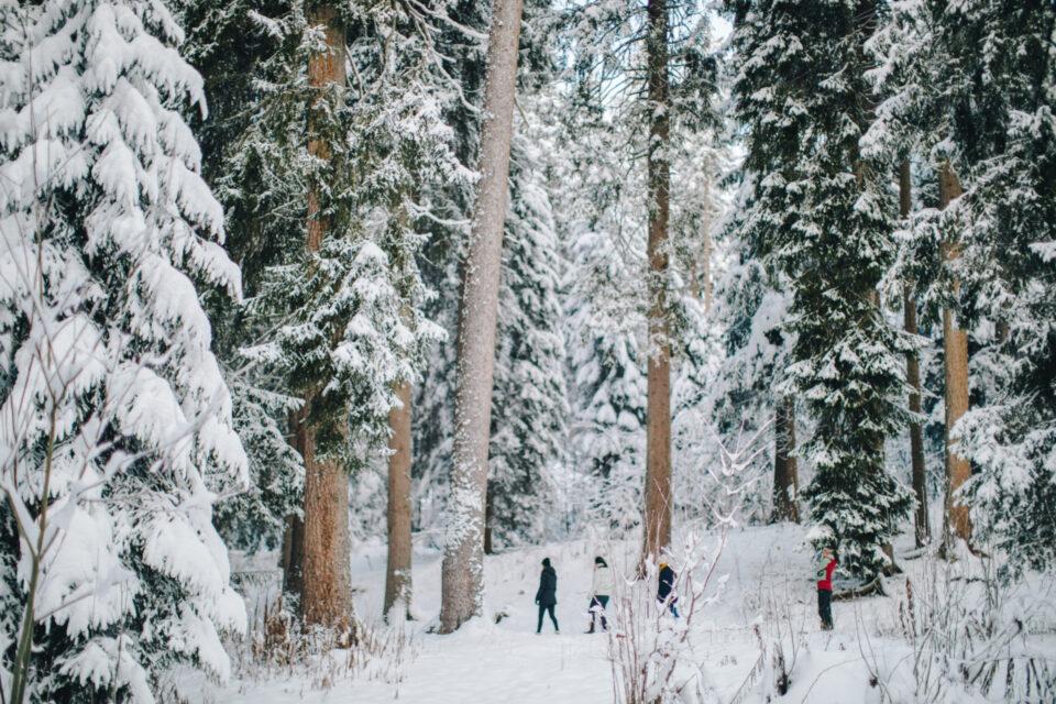 Waldbaden Im Winter